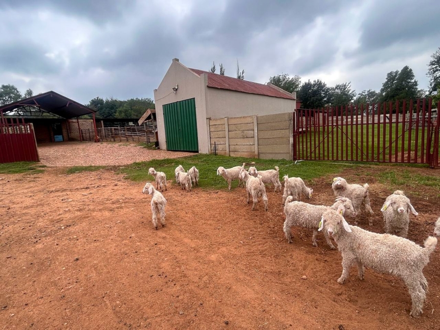 4 Bedroom Property for Sale in Parys Free State
